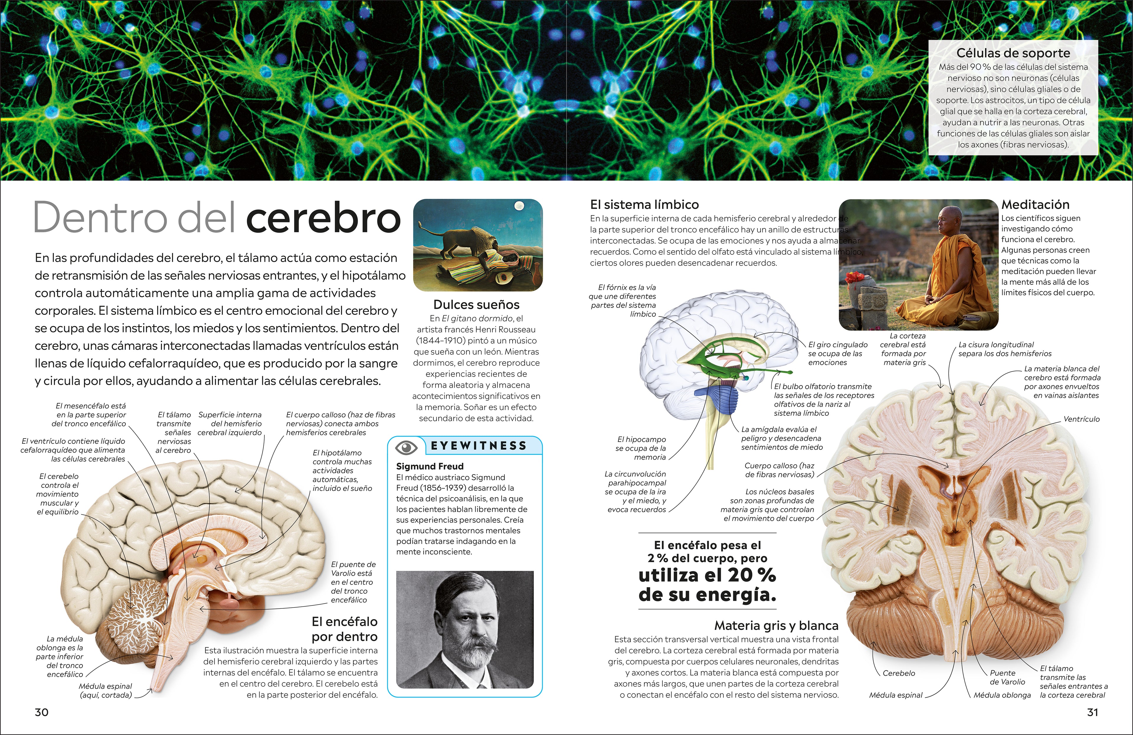 Eyewitness: Cuerpo humano (Human Body)-Spread, Image, (PRHC, Design, Do, Not, Use)-3