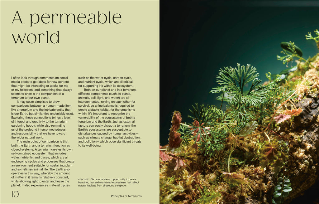 Hello Tiny World-Spread, Image, (PRHC, Design, Do, Not, Use)-2