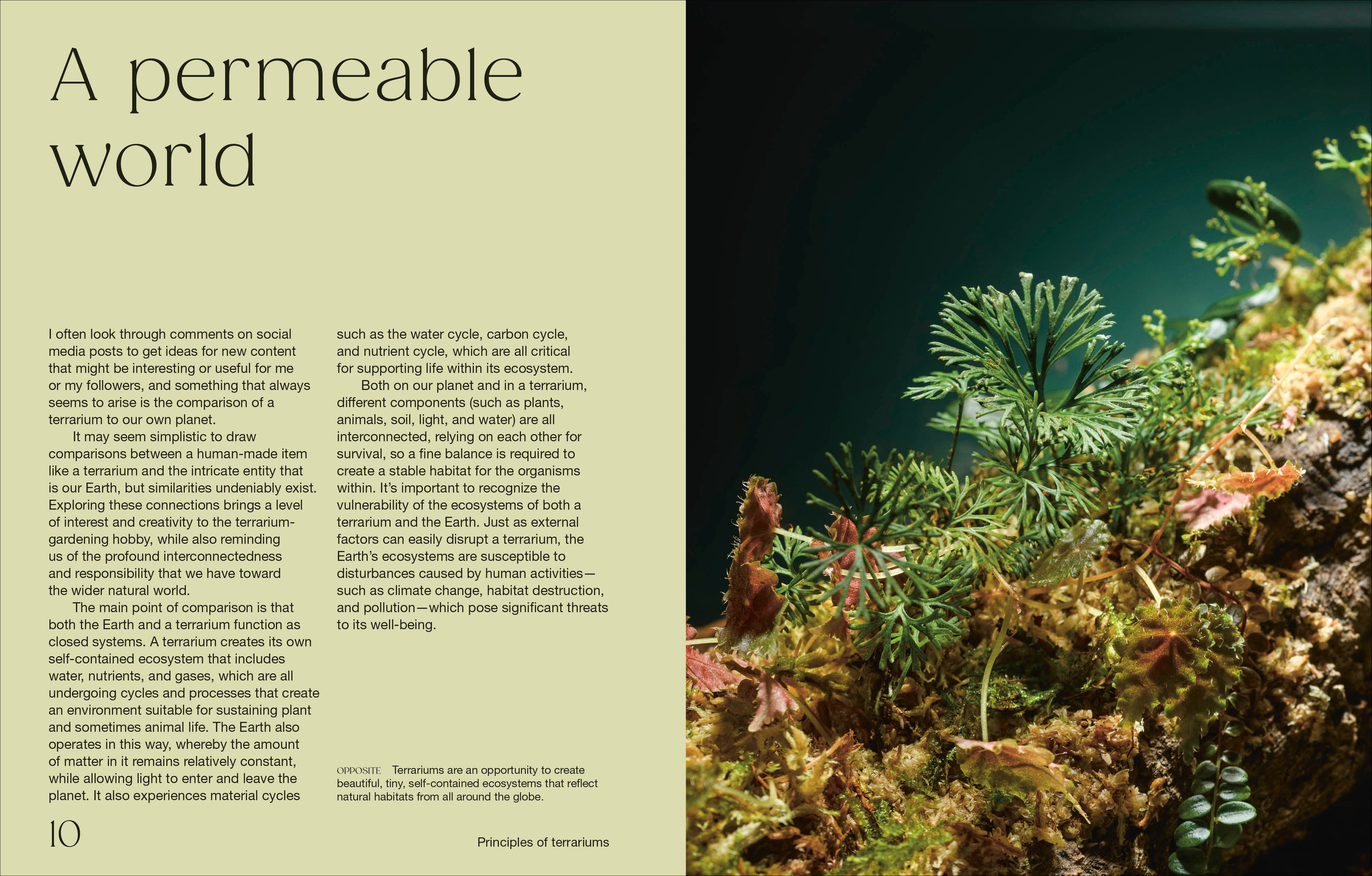 Hello Tiny World-Spread, Image, (PRHC, Design, Do, Not, Use)-2