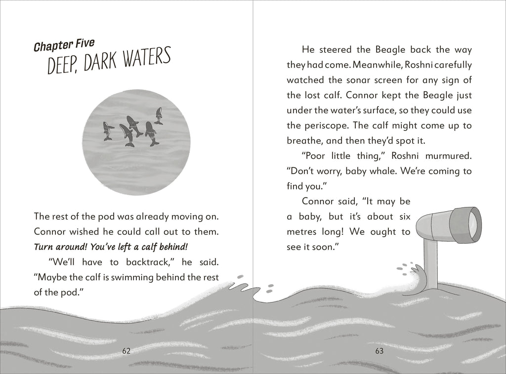 The Secret Explorers and the Lost Whales