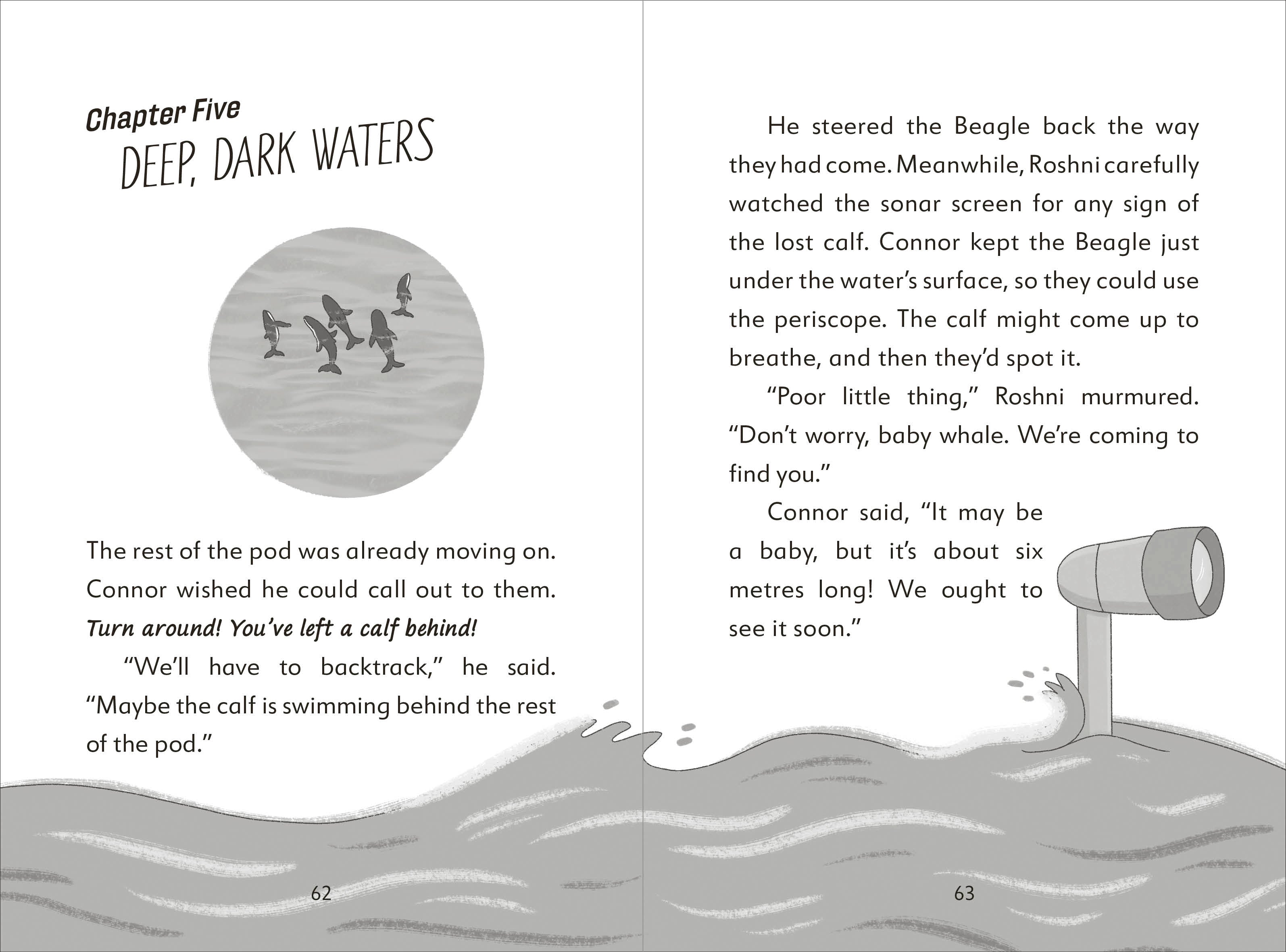 The Secret Explorers and the Lost Whales