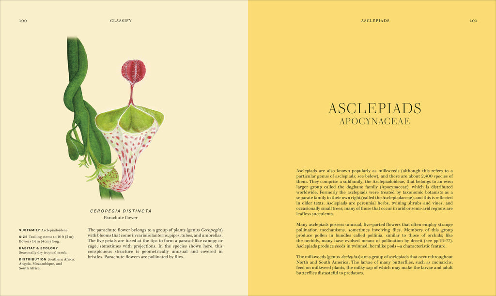 Wildflowers-Spread, Image, (PRHC, Design, Do, Not, Use)-5