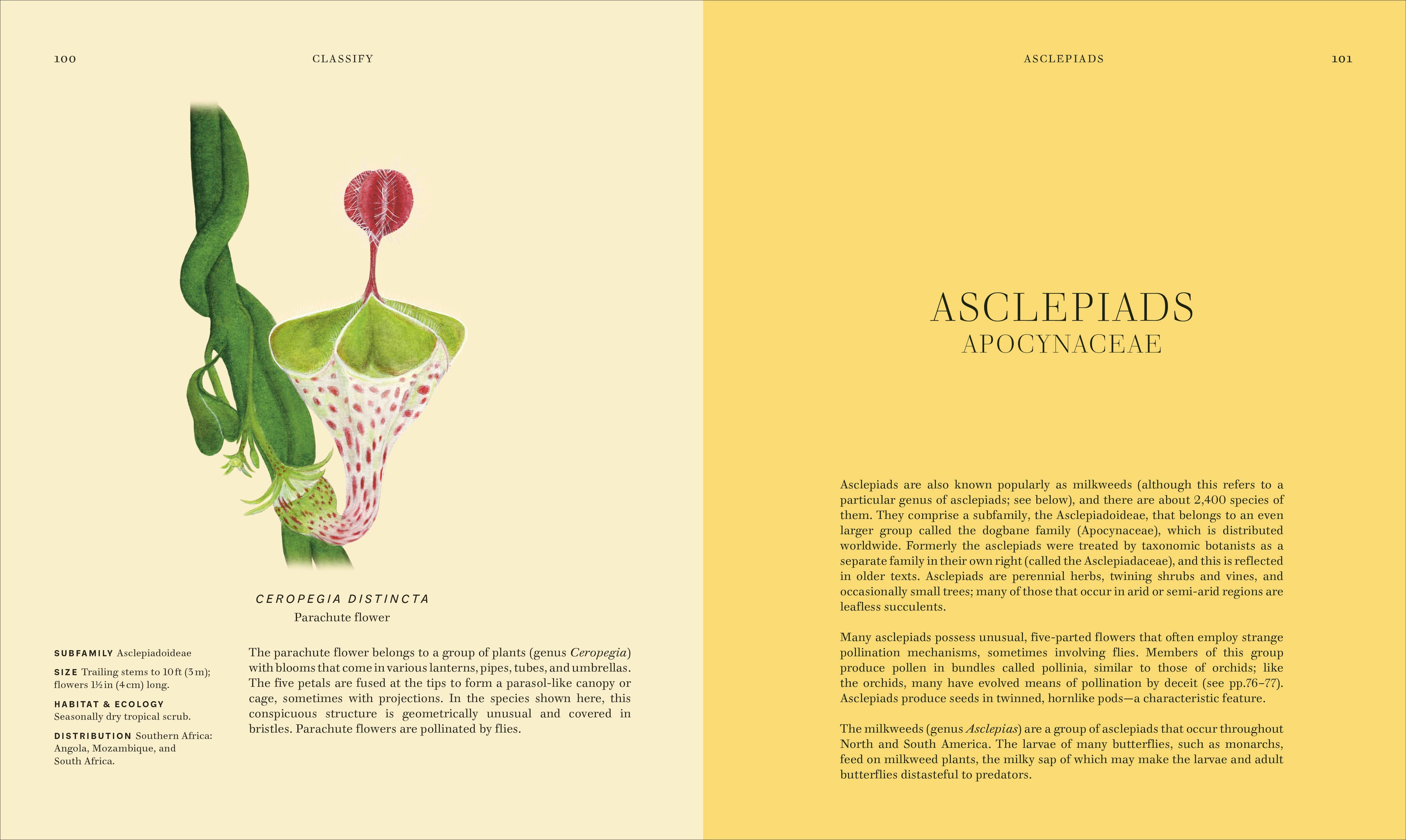 Wildflowers-Spread, Image, (PRHC, Design, Do, Not, Use)-5