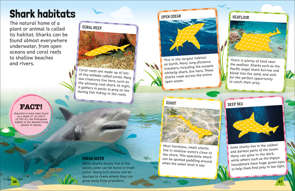 Sticker Encyclopedia Sharks-Spread, Image, (PRHC, Design, Do, Not, Use)-6