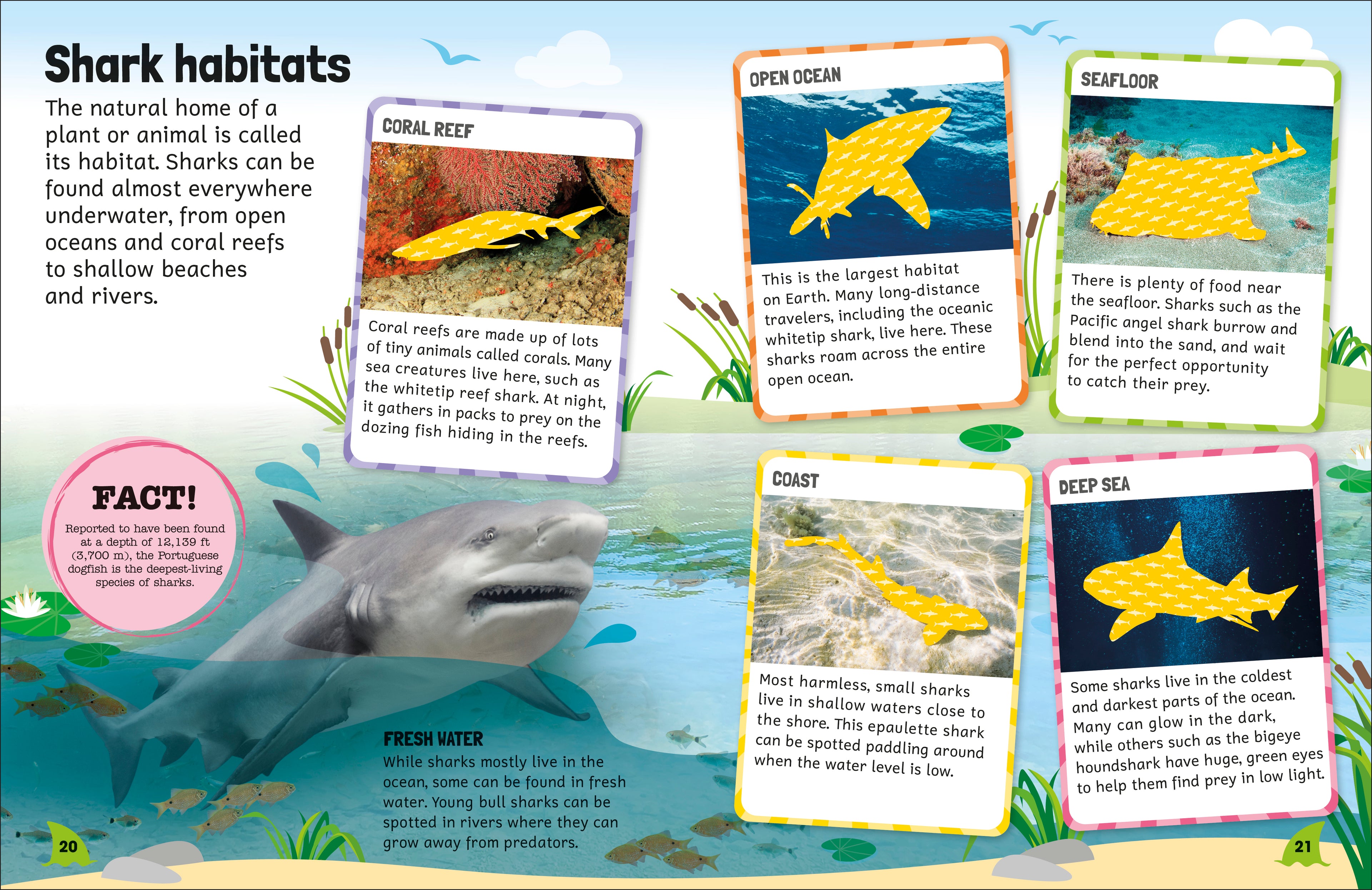 Sticker Encyclopedia Sharks-Spread, Image, (PRHC, Design, Do, Not, Use)-6