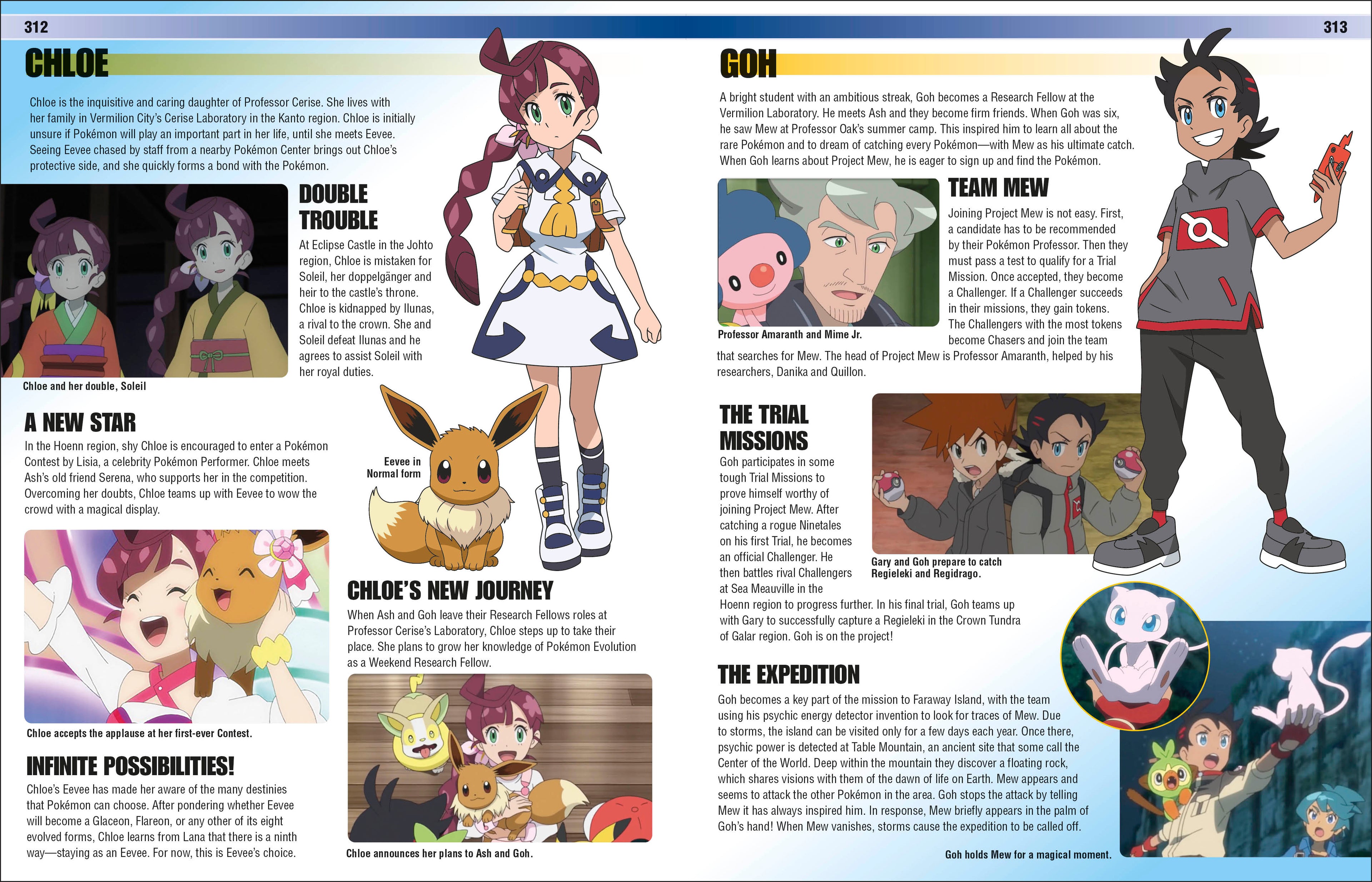 Pokémon Visual Companion Fifth Edition