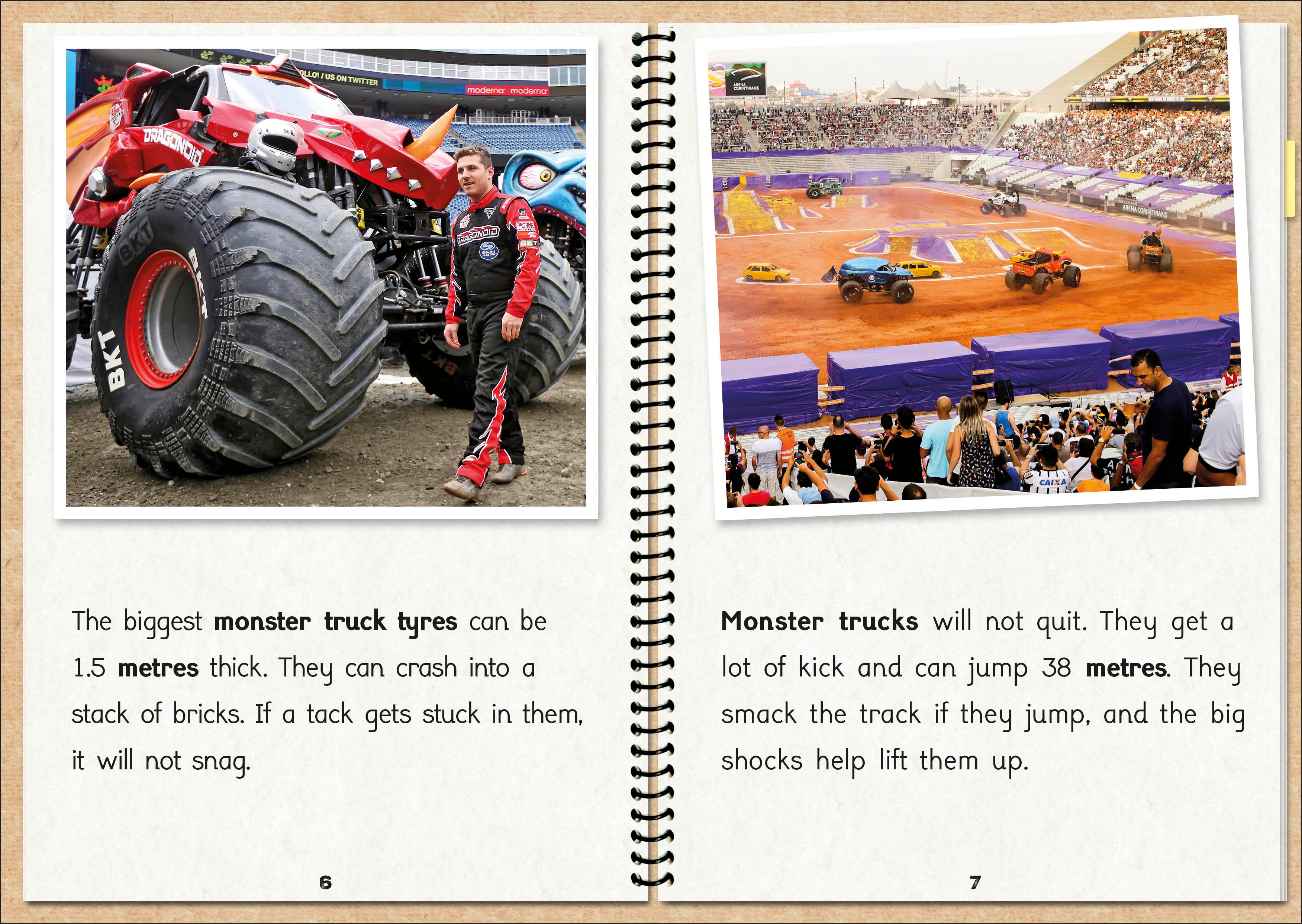 Phonic Books  The Fact Files 1