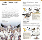 American Museum of Natural History: Pocket Birds of North America, Western Region