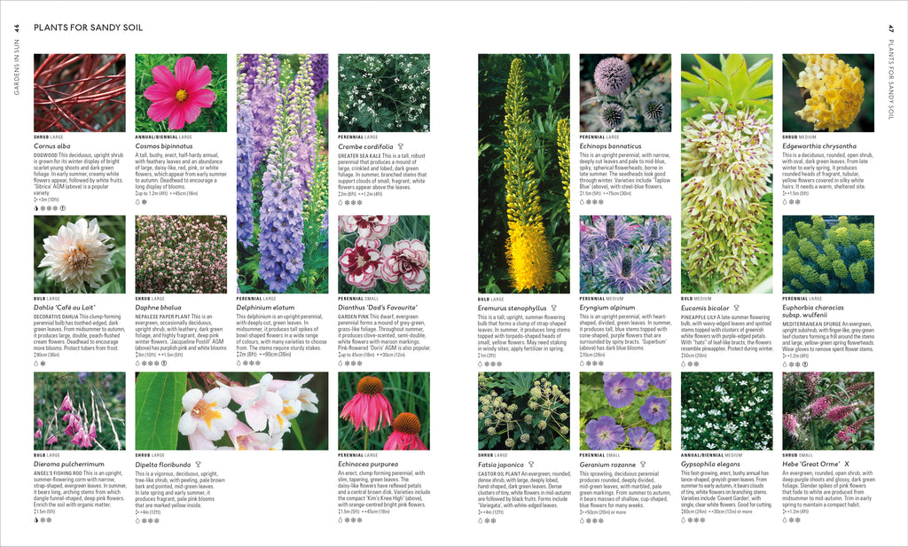 RHS What Plant Where Encyclopedia-Spread, Image, (PRHC, Design, Do, Not, Use)-5