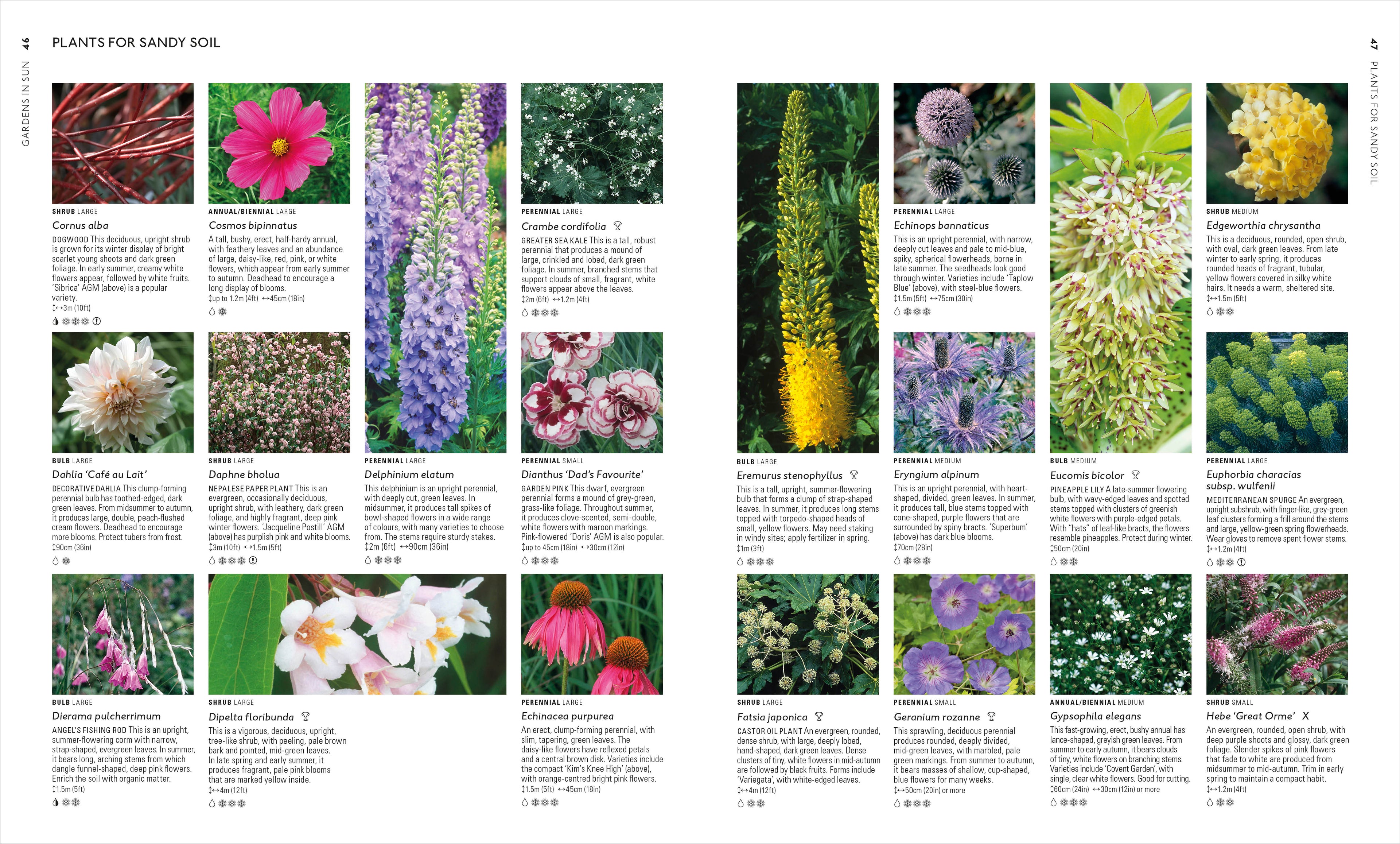 RHS What Plant Where Encyclopedia-Spread, Image, (PRHC, Design, Do, Not, Use)-5