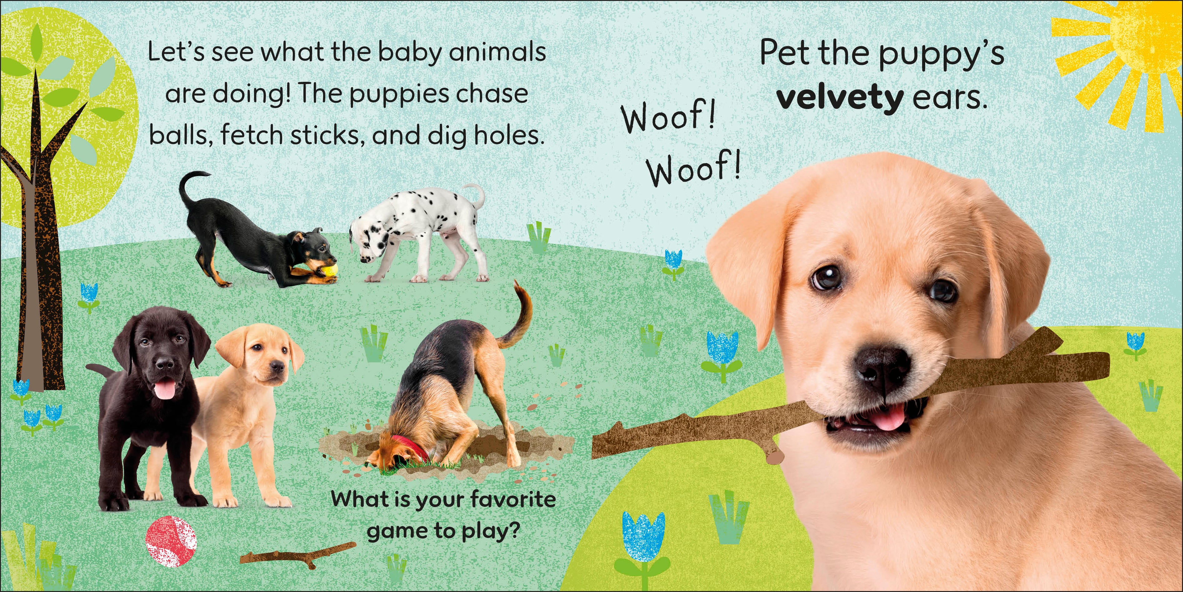 Touch and Feel Baby Animals-Spread, Image, (PRHC, Design, Do, Not, Use)-1