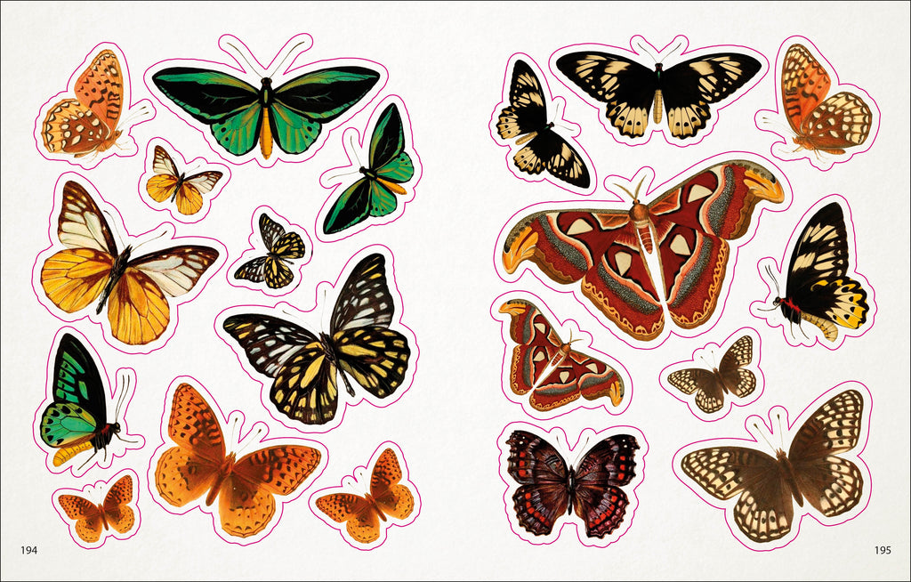 The Bees, Birds & Butterflies Sticker Anthology