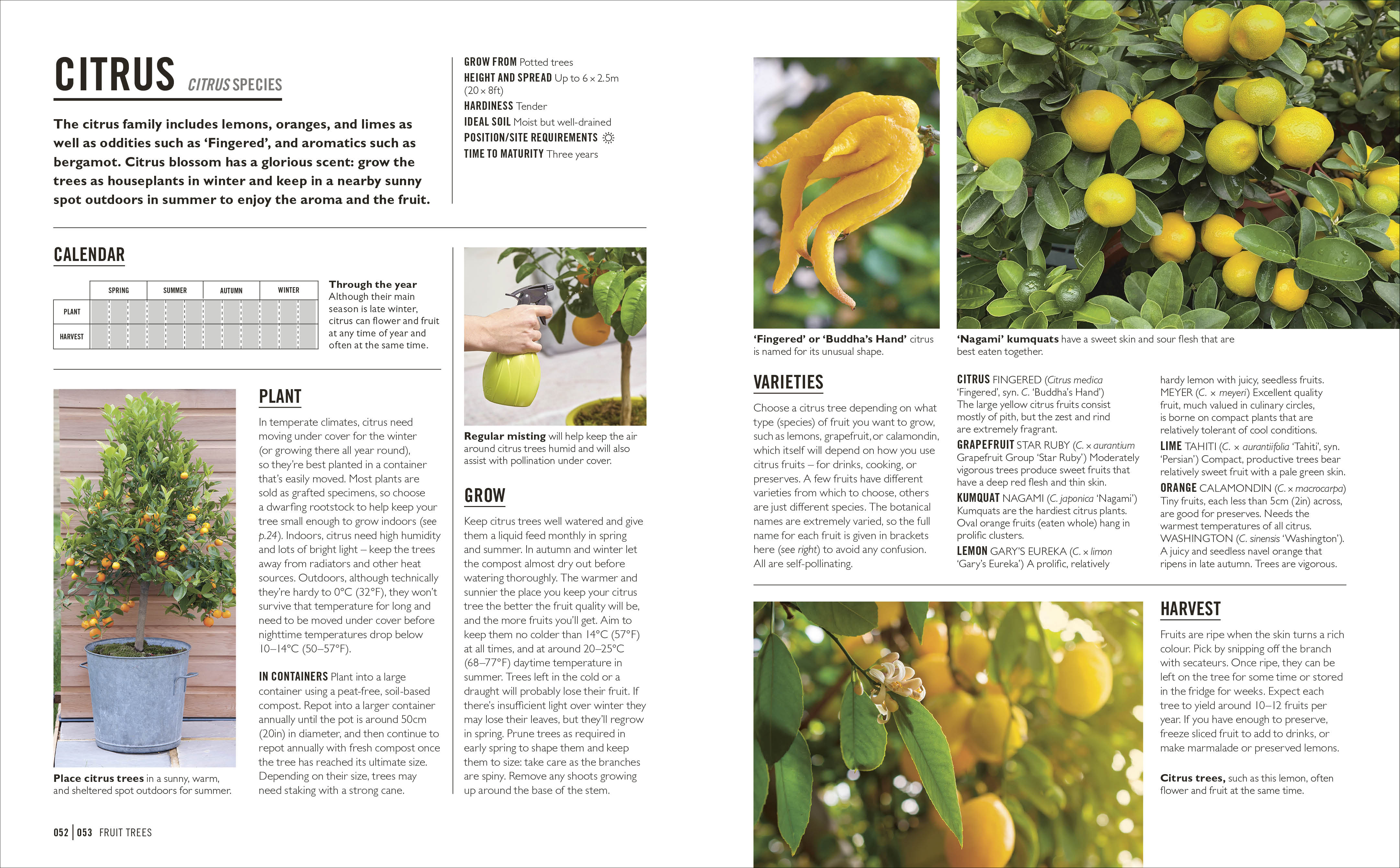 Grow Fruit – DK