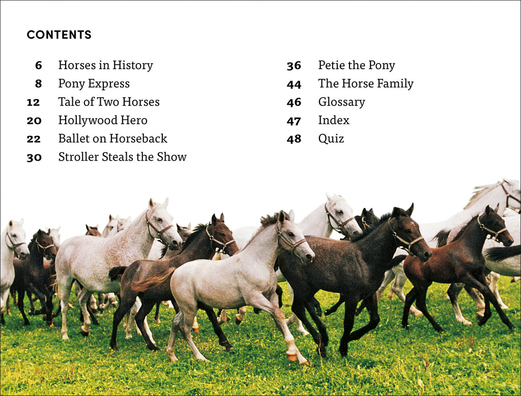 DK Super Readers Level 4 Horse Heroes