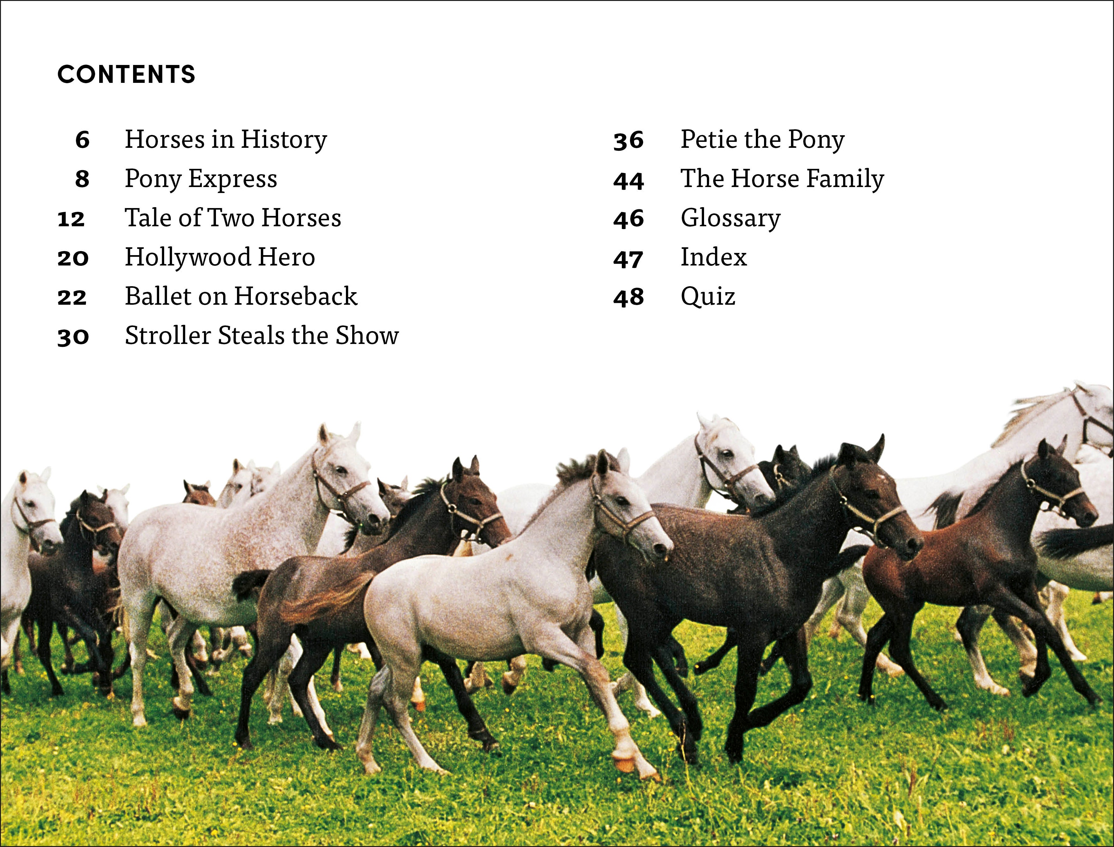 DK Super Readers Level 4 Horse Heroes