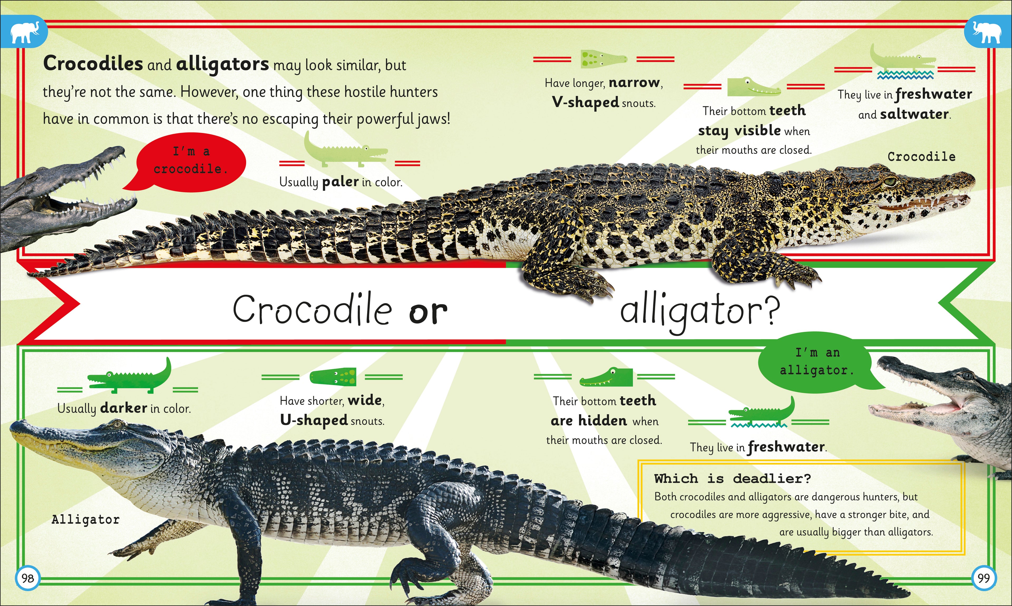 My Encyclopedia of Very Important Animals