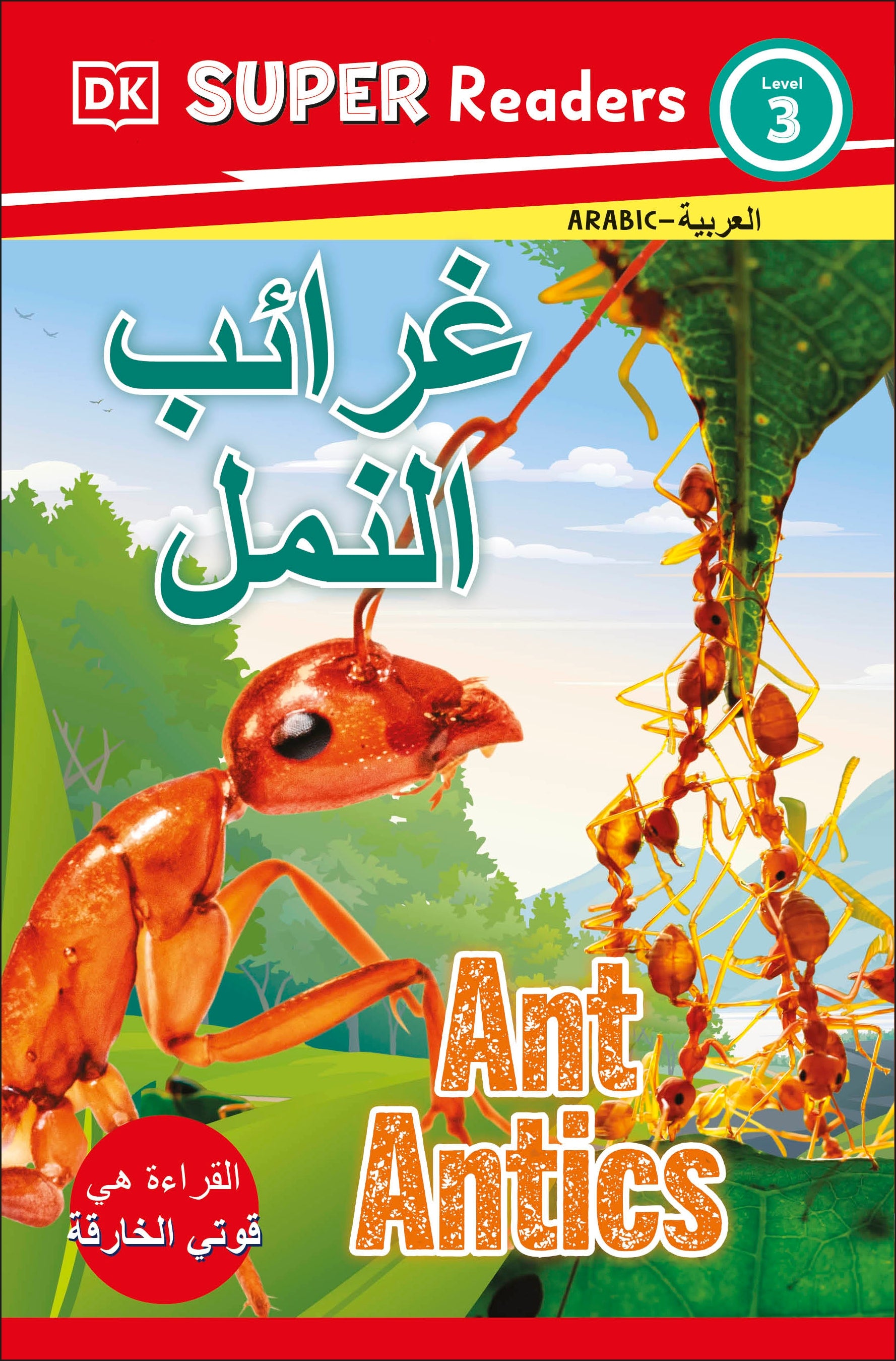 DK Super Readers Level 4 Shark Apex Predator (Arabic translation)