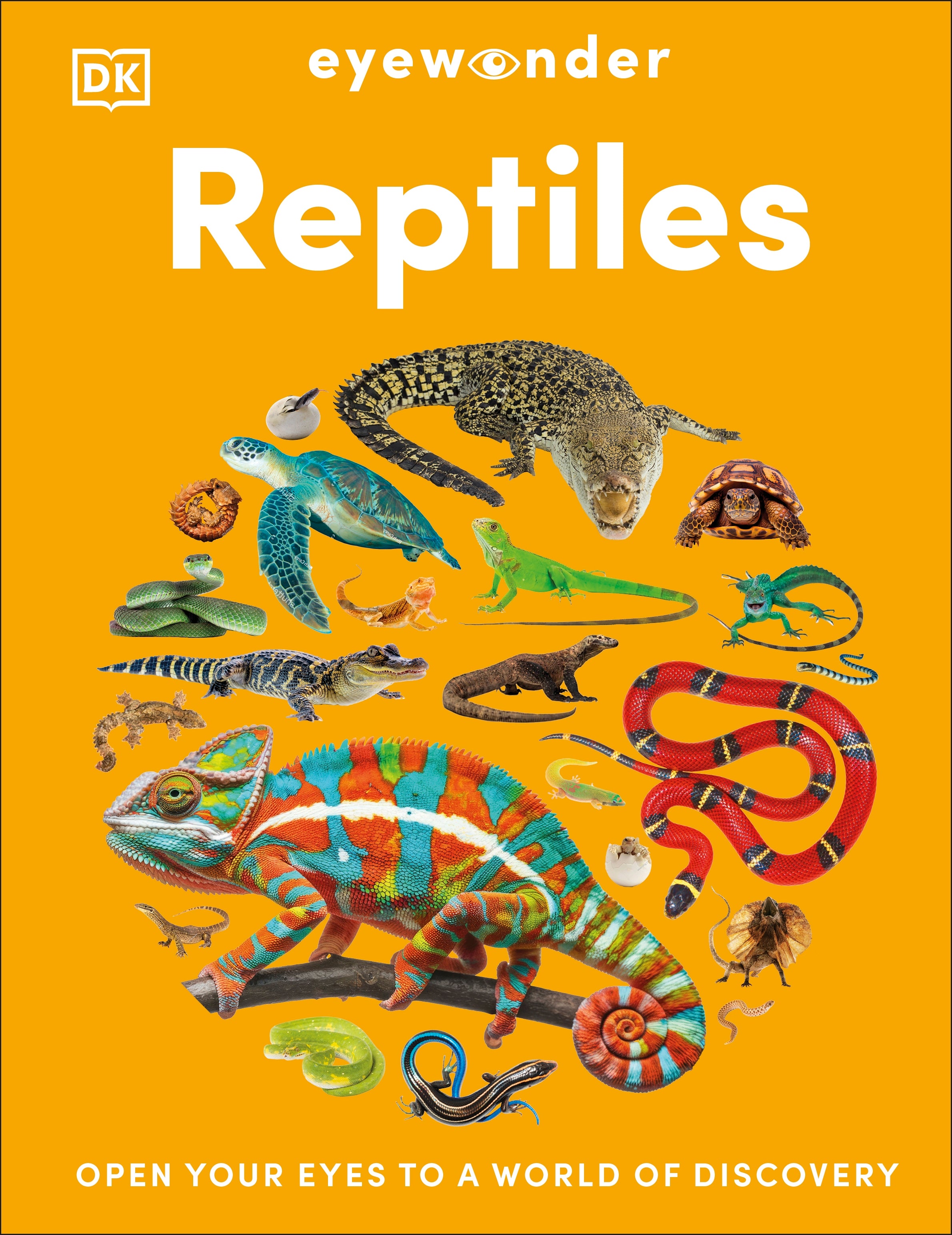 Eyewonder Reptiles