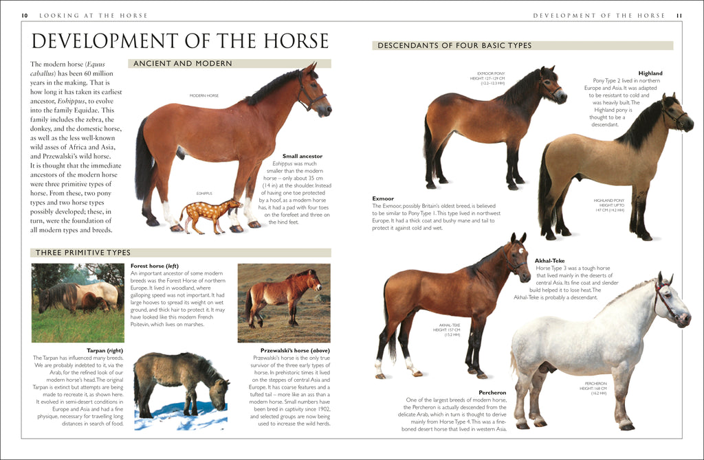 Complete Horse Care Manual