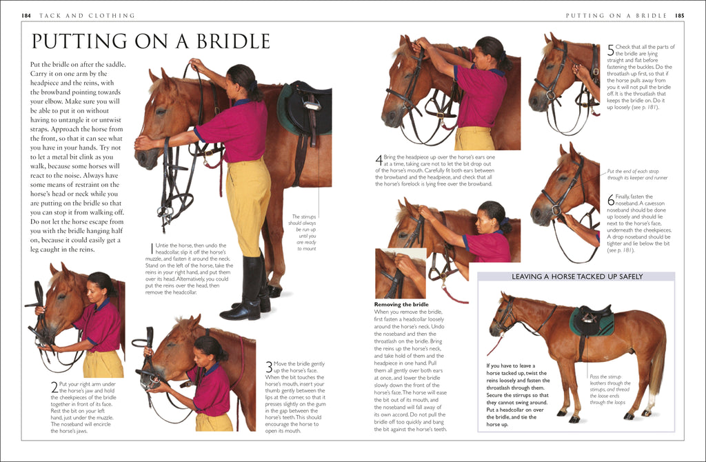 Complete Horse Care Manual
