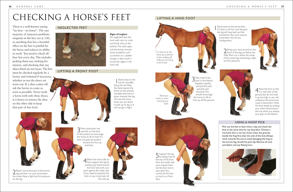 Complete Horse Care Manual