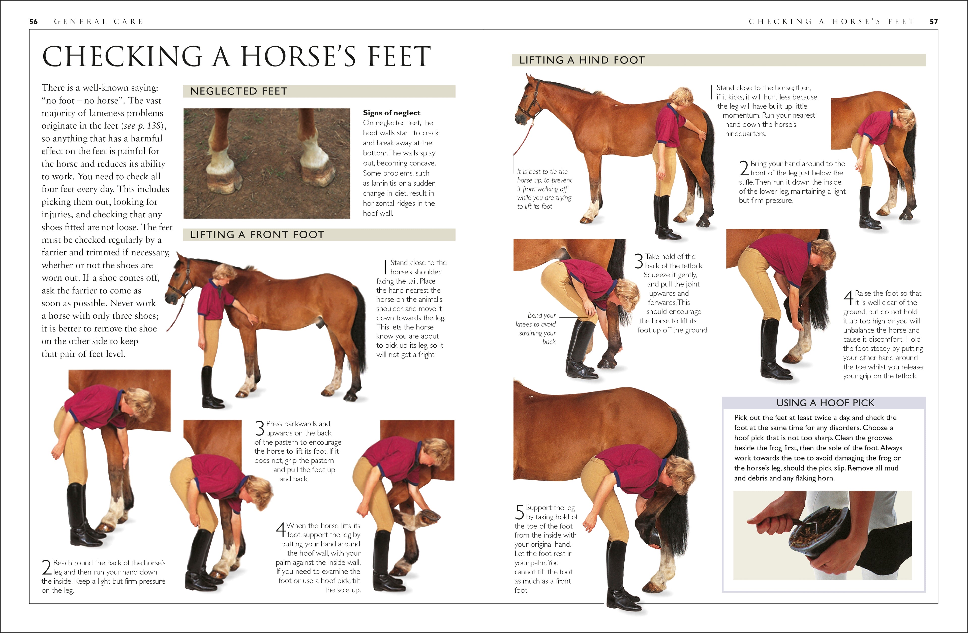 Complete Horse Care Manual