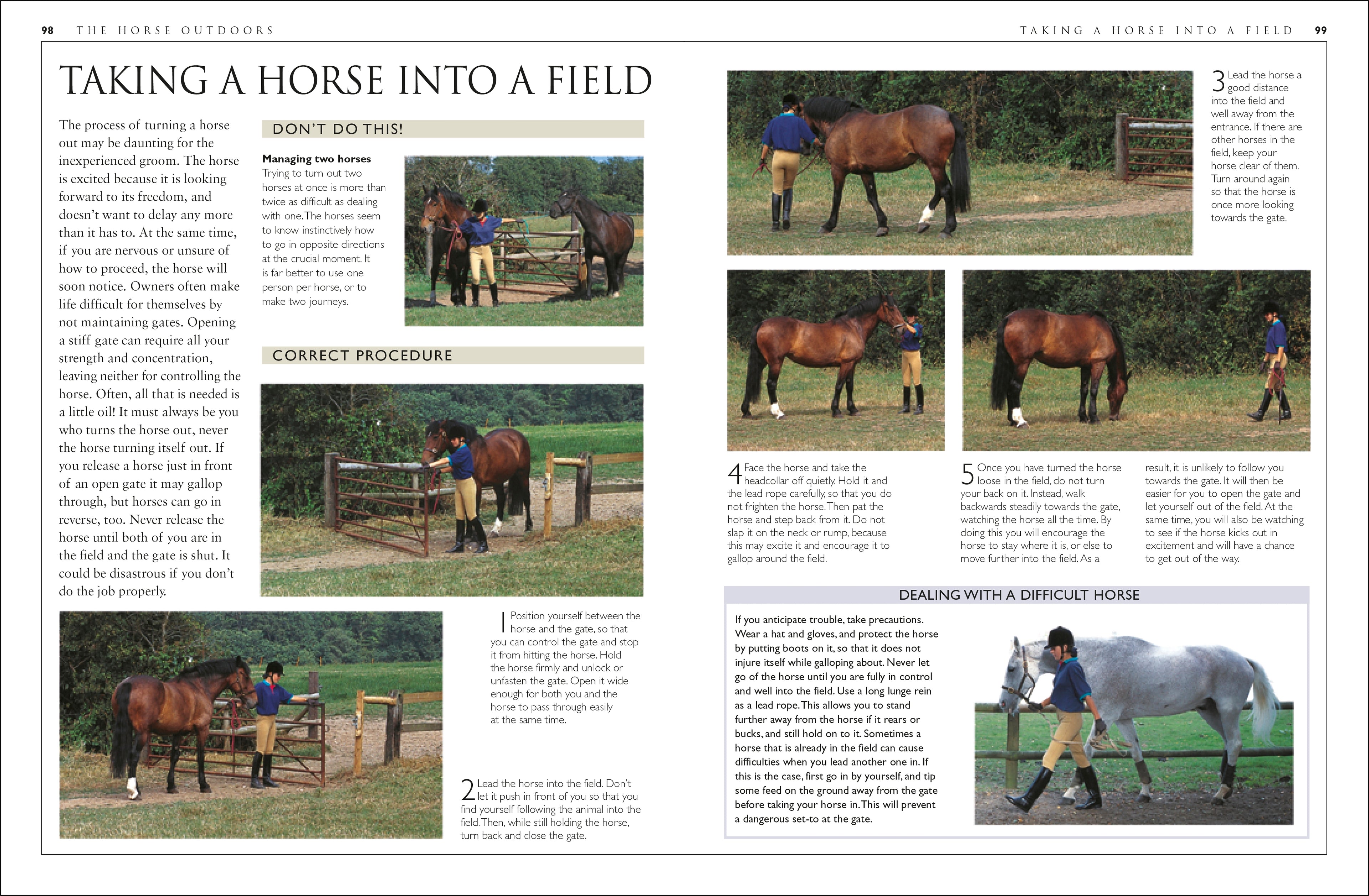 Complete Horse Care Manual