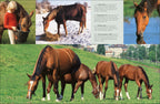 Complete Horse Care Manual