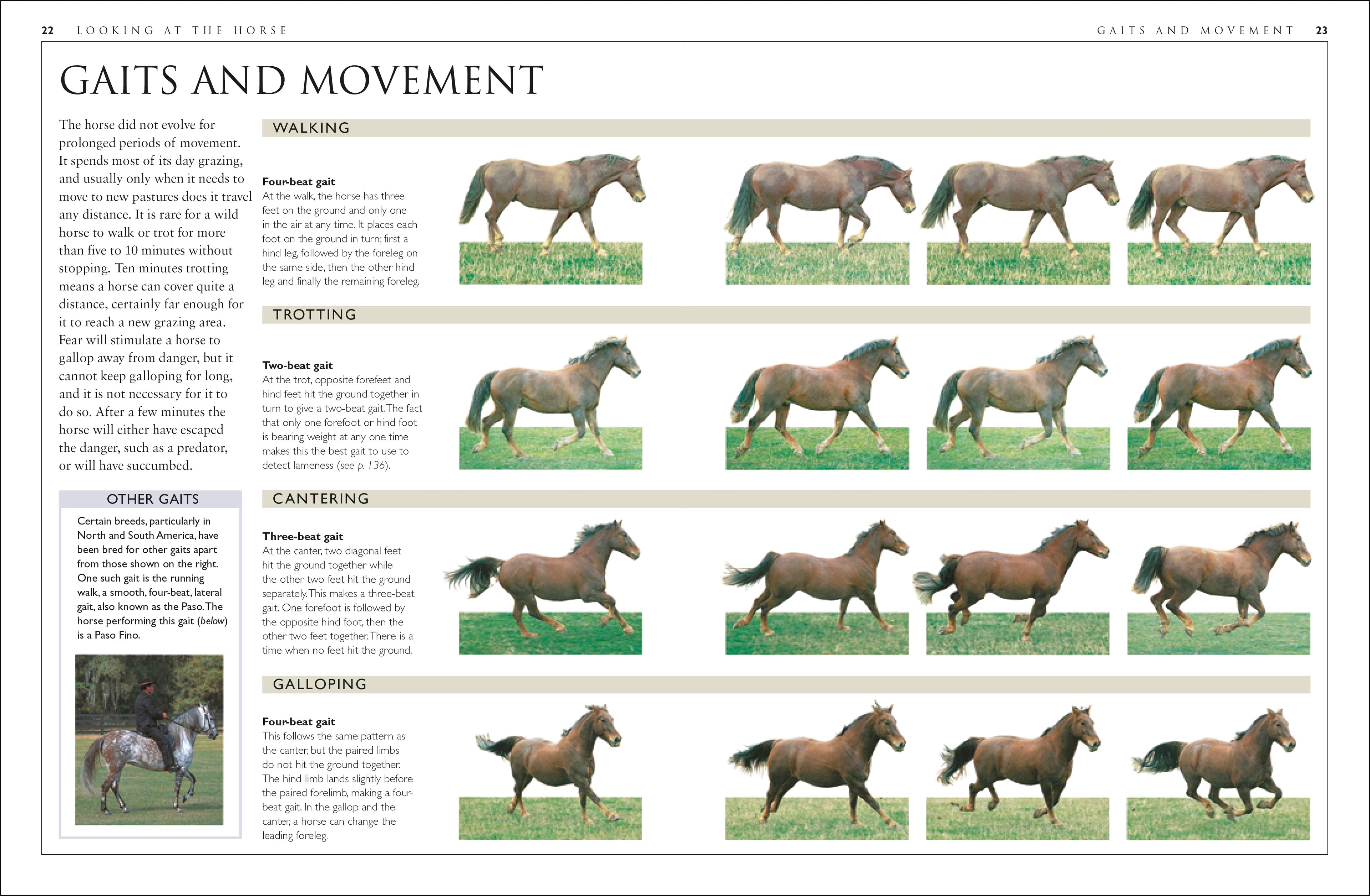 Complete Horse Care Manual