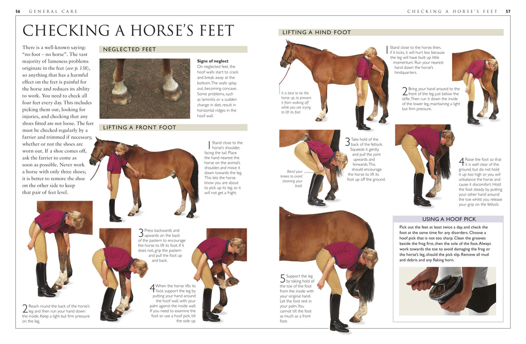 Complete Horse Care Manual